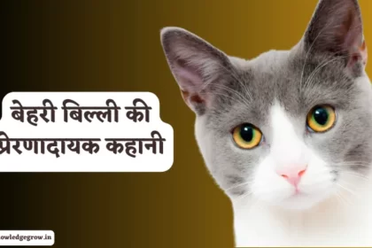 बेहरी बिल्ली की प्रेरणादायक कहानी - Bahri Billi ki Kahani