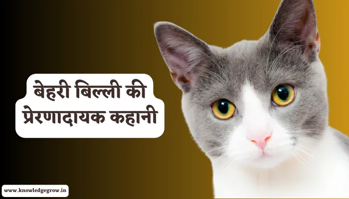 बेहरी बिल्ली की प्रेरणादायक कहानी – Bahri Billi Ki Kahani